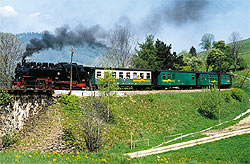 tl_files/images/o-thal1.jpg